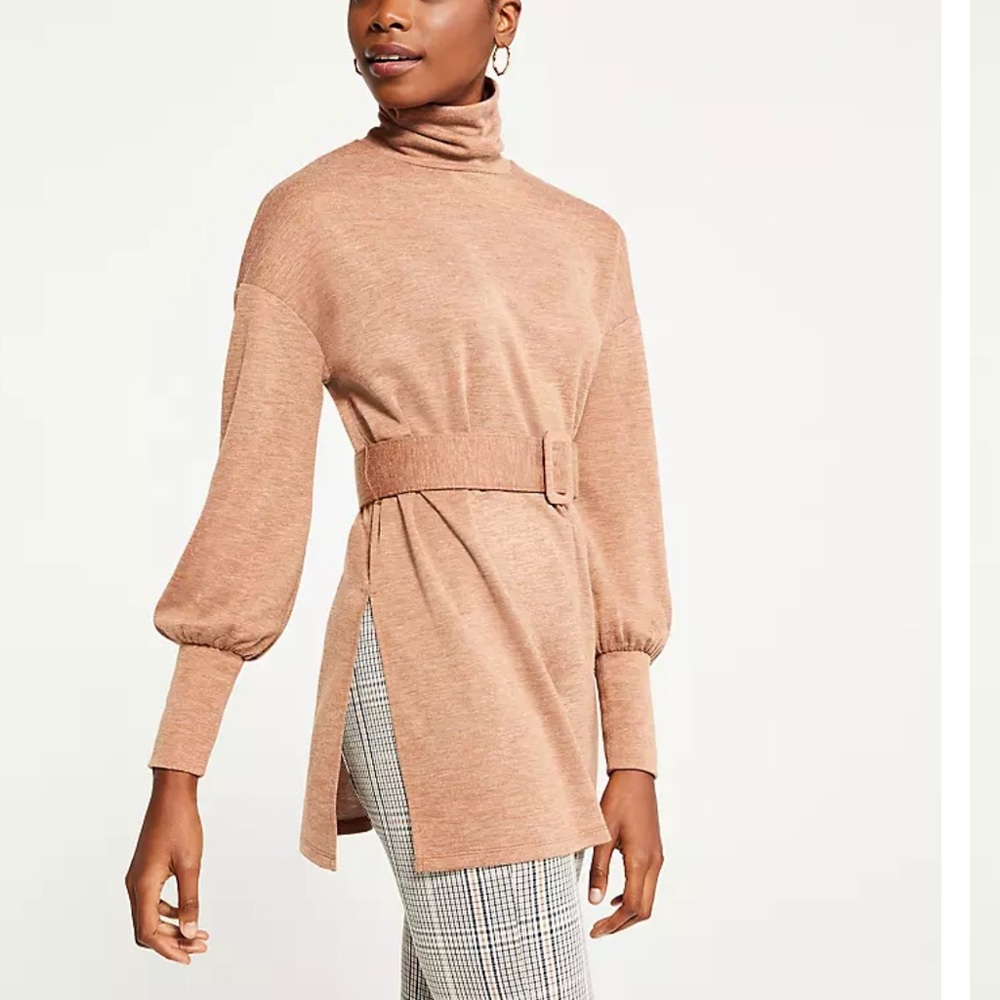 Ann Taylor Turtleneck Belted Tunic Top
J
